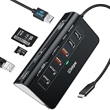 intpw USB Cハブイーサネット 10Gbps USB Cドッキングステーション 10イン1 4K@60Hz HDMI、Type-C & 2 USB A 3.2データ、LAN、2 USB A 2.0、PD 100W、SD/TFポート、ノートパソコン、PC、iPhone 16/15、Mac用電源USBハブ
