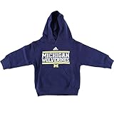 Michigan Wolverines Playmakerフード付きスウェットシャツ