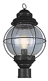 Trans Globe Lighting 69905 BK 1-Light Post Lantern, Black [並行輸入品]