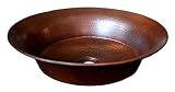 Native Trails CPS Maestro Bajo Bathroom Sink [並行輸入品]