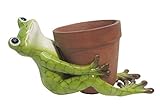 【正規輸入品】 feeDECO 植木鉢 Animal Pot Cover [Frog Hold]