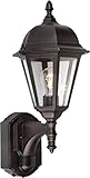 Forte Lighting 18003-01-32 Exterior Wall Light with Clear Beveled Glass Shades, Antique Bronze [並行輸入