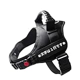 inuya 犬 ハーネス 小型犬 中型犬 【名前入れ可能】 無地 ブラック Sサイズ オリジナル ネームタグ 名前入り おしゃれ 抜けない 犬用 胴輪 夜間反射 (ブラック, S)
