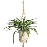 プラントハンガーロープ 麻縄編み プラントハンガー 編組ロープ ポットホルダーロープ 植物ハンガーネット 観葉植物 吊り下げ ロープ バスケットを垂らすジュートロープ