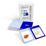 Pat's Flash Cards 英語学習用フラッシュカード50枚