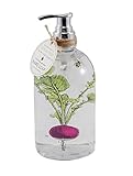 Farm to Table Beet Themed 16.9 oz Hand Soap [並行輸入品]