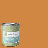 Inspired Eggshell Interior Paint, Clay .02, Gallon [並行輸入品]