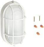 Trans Globe Lighting 41005 WH Mesa 8.5" White Pocket Lantern [並行輸入品]