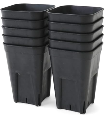 プラ鉢リエール必殺鉢【A-25S×105個+トレー3枚】スリット鉢プレステラ多肉 プラ鉢リエール必殺鉢【A-25S×105個+トレー3枚】スリット鉢