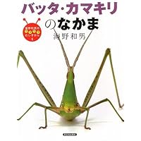 Amazon.co.jp: バッタ・コオロギ・キリギリス生態図鑑 : 村井 貴史