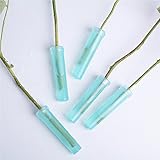 RaiFu フローラル ウォーター チューブ 花育て キャップ 付き 半透明 緑の 水のチューブ 新鮮な花 フローラル アレンジ メント バイアル 1PCS/25PCS 25個 2 * 7センチメート