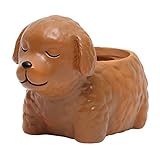 BESTOMZ 鉢植えポット 犬　植木 　鉢樹脂 　多肉植え 装飾花瓶 ホーム装飾（テディ）