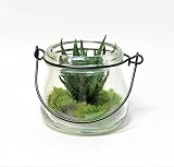 観葉植物　テラリウム　アーテフィシャルフラワー　多肉植物　サキュレント　ガラス花器　フェイクグリーン　緑　造花