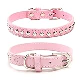 BINGPET 犬 首輪 ペット用品 ベーシック 犬首輪 本革 スタッズ付き 犬の首輪 いぬ 犬くびわ 小型犬 中型犬 大型犬 柴犬 秋田犬 (レッド XSサイズ)