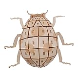 つくるんです ポケットバグズ ナナホシテントウ 【日本公式販売／日本語説明書付】