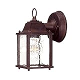 Acclaim 5001BW/SD Builder's Choice Collection 1-Light Wall Mount Outdoor Light Fixture, Burled Walnu