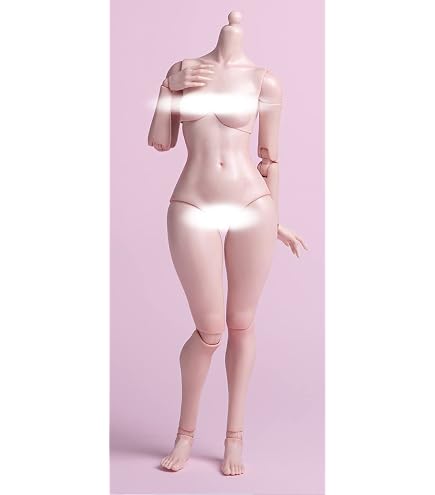 : [TOYBARJAPAN ]1&frasl;6スケール アクションフィギュア素体