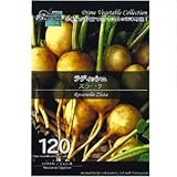 [ 西洋野菜 種 ] ラディッシュ ズラータ