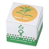 Euvo Design Potted Plant ペパーミント PP10195