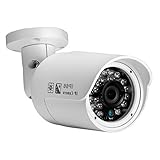 NEW Arrival Sony-Sensor 1/3'' Pixelplus PC1099 1000TVL Upto 65FT w/24 IR LEDs 3.6mm Lens Bullet Secu