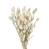 東京堂 ドライフラワー ナチュラル L約20~25cm ミニラグラス FD003183 15ｇ入