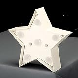 美濃クラフト　Ｓｔａｒｒｙ　STR-4　電球色のみ　 　ブリキ風塗装