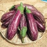 ゼブラなす　 36粒