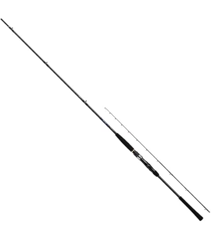 ダイワ 極鋭ヒラメ H-300・R (ロッド・釣竿) 価格比較 - 価格.com - ロッド