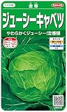 サカタのタネ 実咲野菜2003 ジューシーキャベツ 金春 00922003