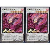 【2枚セット】 DOOD-JP039 黒薔薇の破滅竜 ブランブル・ローズ・ドラゴン （ウルトラレア） ドゥーム・オブ・ディメンションズ DOOM OF DIMENSIONS シンクロ UR ウルトラ レア ブラックローズ ブラックローズドラゴン