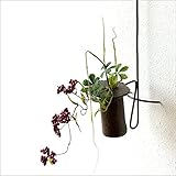 花器 陶器 フラワーベース 花瓶 信楽焼 和モダン 壁掛けロングハンギングB [soh8660]