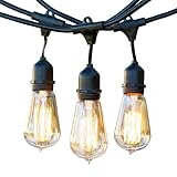 Brightech Ambience Pro Vintage Outdoor Light Strand - 48 Ft Weatherproof Commercial Grade Edison Mar