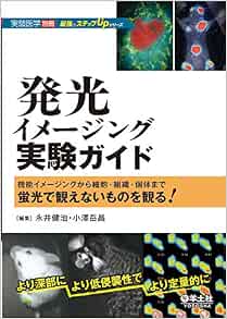 化学発光 蛍光撮影装置 和研薬株式会社 機器オンライン Wakenyaku Co Ltd Laboratory Equipments Online