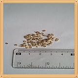 おいしいフルーツの48品種。トマト種子の200PC様々なフレーバーが、単に混合包装を育てます