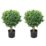 Pure Garden Pair Hedyotis Single Ball Topiary, 24-Inch [並行輸入品]
