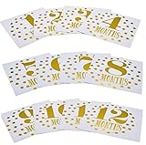 ベビー マタニティー マンスリー 撮影 フォトステッカー 記念 写真 ステッカー シール セット (ゴールド)