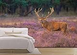 wall26 – 自己粘着壁紙大壁壁画シリーズ 100"x144" WMR-WP-X-D490-100x24x6
