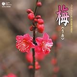 ������\��N�x(��l�\�Z��)�R�����r�A�S����r�R���N�[���ۑ�� �~