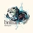brilliant