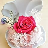 【ベルシック】 プリザーブドフラワー マーメイドローズ 枯れないお花 お祝・お見舞い <即日出荷><送料無料(一部地域を除き)> (ピンク)