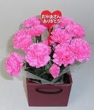 造花 アートフラワー「母の日 カーネーションS」 光触媒(空気清浄)フラワーアレンジ … (P:ピンク)
