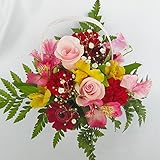 誕生日、記念日、母の日に赤のカーネーションのアレンジ