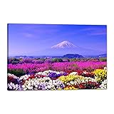 富士山 桜 花 アートパネル 白雲 絵 壁掛け 赤富士 風景画 ポスター 壁掛け 玄関 風水 開運 アート 装飾画 木枠付きの完成品(40x60cm)