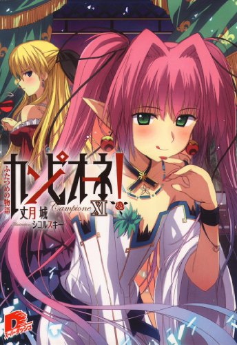 カンピオーネ Xi ふたつめの物語 画像 壁紙 小説