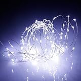 LEDジュエリーライト 100球10m ホワイト LEDイルミネーション ACアダプター付き 飾り 電飾 クリスマスライト 結婚式 パーティー ガーデン 昼光色