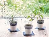 植木鉢と種がセットになった<br>染付小紋盆栽セット【桜】