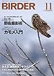 BIRDER (バーダー)2013年 11月号 [雑誌]