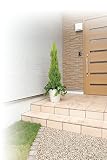造花アート・観葉植物　ゴールドクレスト1.4＜ 自宅のインテリア 店内の装飾 プレゼントに ＞