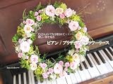 ＊ 花七曜 ＊ ビアン / プリザーブドフラワー リース パステル ピンク / キュート ゴージャス 結婚 ディスプレイ プレゼント 引越祝い 母の日 ホワイトデー お礼