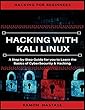 Hacking: Hacking Essentials, Learn the Basics of Cyber Security and Hacking